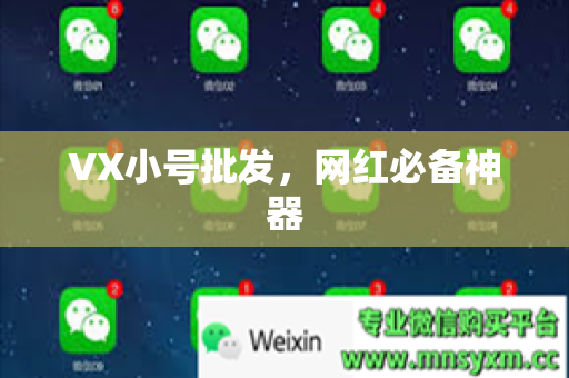 VX小号批发，网红必备神器