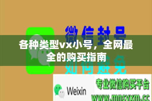 各种类型vx小号，全网最全的购买指南