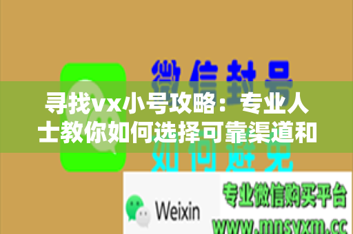 寻找vx小号攻略：专业人士教你如何选择可靠渠道和交流技巧