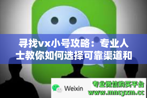 寻找vx小号攻略：专业人士教你如何选择可靠渠道和交流技巧