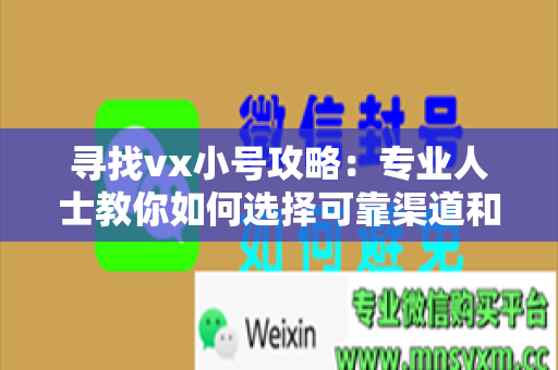 寻找vx小号攻略：专业人士教你如何选择可靠渠道和交流技巧