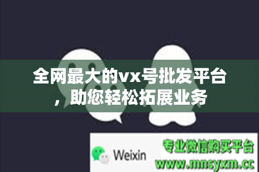 全网最大的vx号批发平台，助您轻松拓展业务