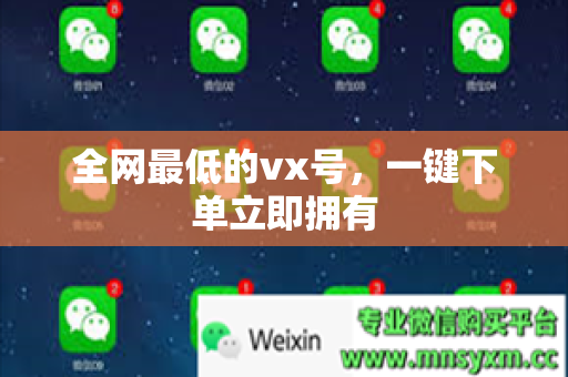 全网最低的vx号，一键下单立即拥有