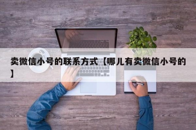 卖微信小号的联系方式【哪儿有卖微信小号的】